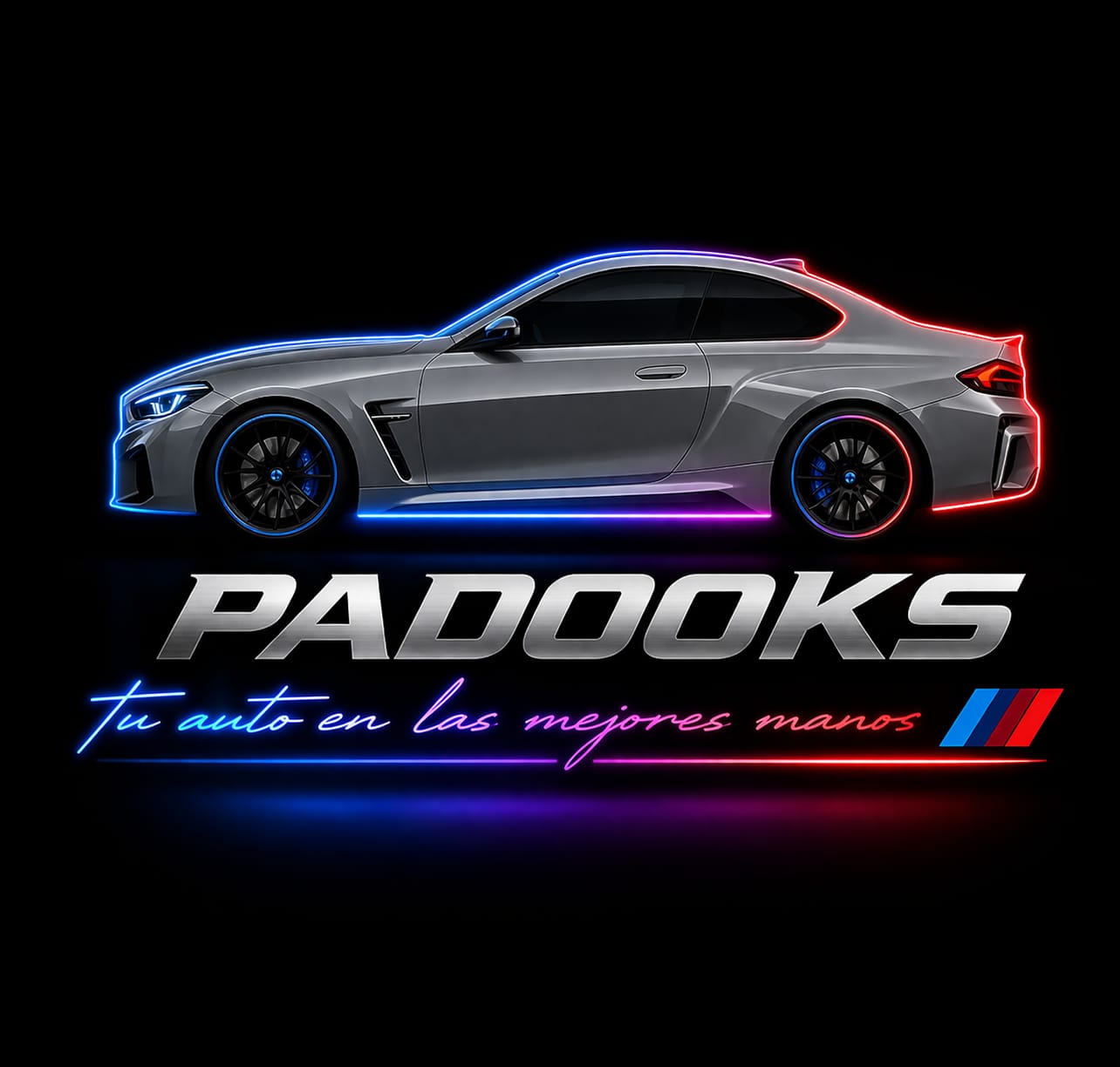 Padooks BMW Specialist logo